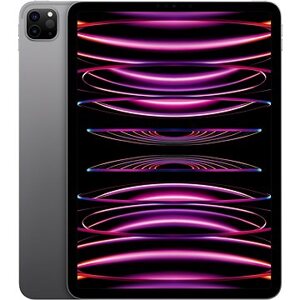 iPad Pro 11" 256 GB M2 Vesmírne sivý 2022